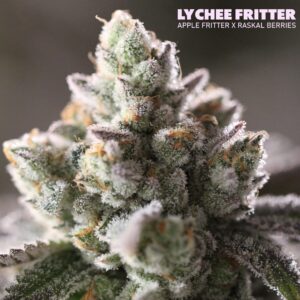 Lychee Fritter