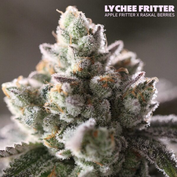 Lychee Fritter