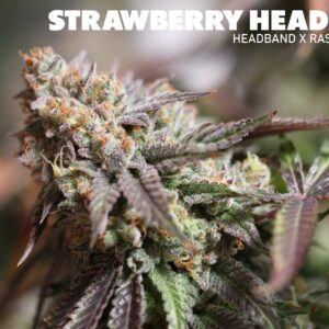 Strawberry Headband